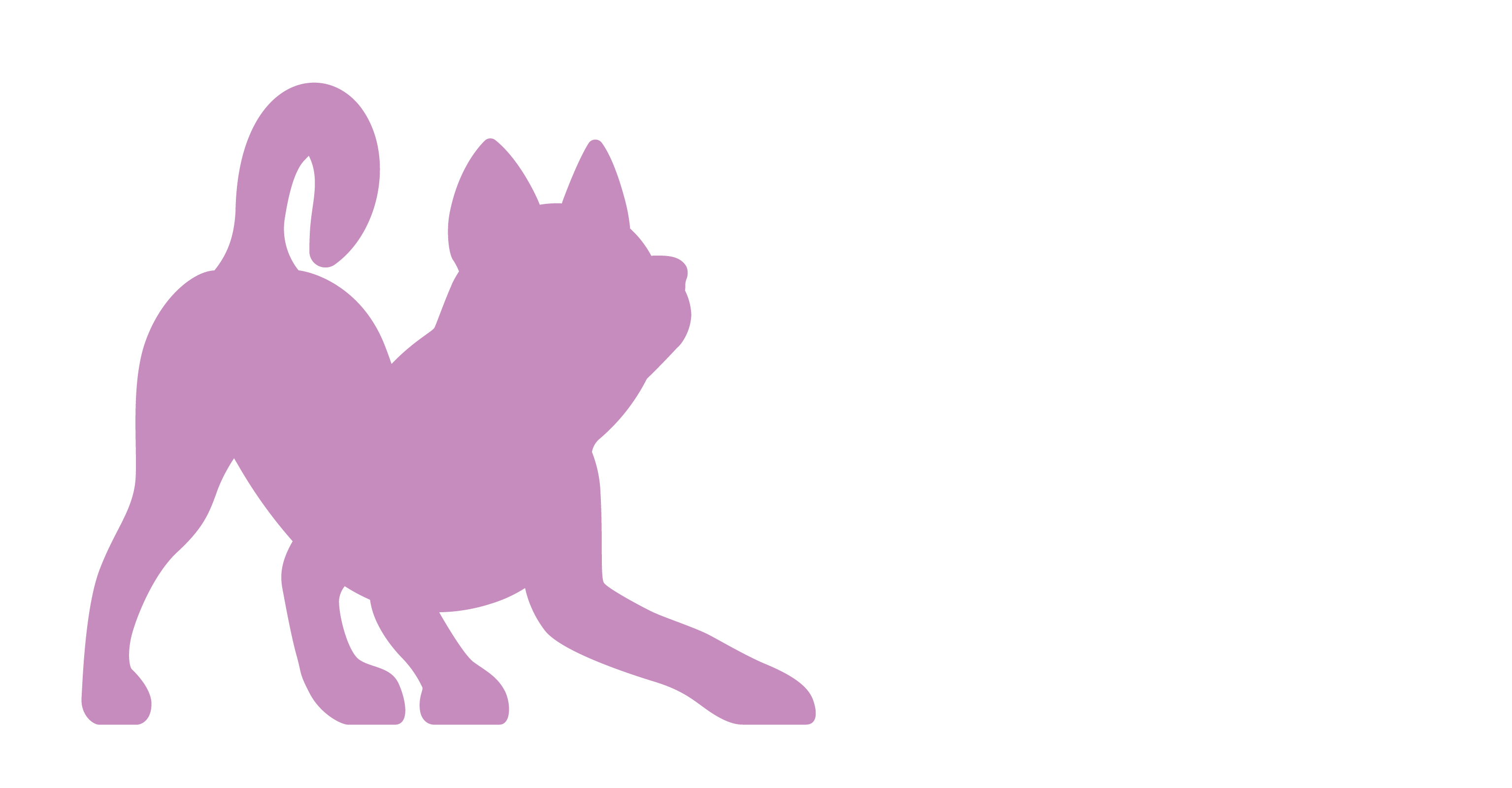 Dagny and Dexter's Doggie Daycare